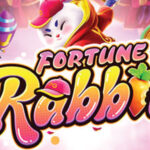 fortune rabbit 2 web 2 teenoi 69 .com เว็บตรง สล็อต PG อันดับ 1 ฝากถอนออโต้ มั่นคง ปลอดภัย