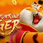 fortune tiger 2 web 2 teenoi 69 .com เว็บตรง สล็อต PG อันดับ 1 ฝากถอนออโต้ มั่นคง ปลอดภัย