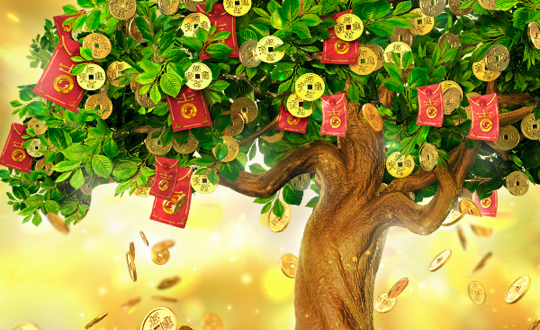 tree of fortune 2 web 2 teenoi 69 .com เว็บตรง สล็อต PG อันดับ 1 ฝากถอนออโต้ มั่นคง ปลอดภัย