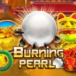 slotxo pg: 5 กลยุทธ์ลับล่าไข่มังกรทอง x1000 3 Burning Pearl 1 web 1 teenoi 69 .com เว็บตรง สล็อต PG อันดับ 1 ฝากถอนออโต้ มั่นคง ปลอดภัย