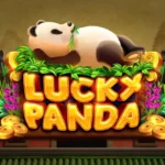 slot casino online Lucky Panda: 5 กลยุทธ์ลับคว้ากำไรสูงสุดปี 2026 4 Lucky Panda 1 web 1 teenoi 69 .com เว็บตรง สล็อต PG อันดับ 1 ฝากถอนออโต้ มั่นคง ปลอดภัย