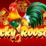 สล็อต easy Lucky Rooster: 7 กลยุทธ์เจาะแจ็คพอตไก่นำโชคปี 2026 3 Lucky Rooster 1 web 1 teenoi 69 .com เว็บตรง สล็อต PG อันดับ 1 ฝากถอนออโต้ มั่นคง ปลอดภัย
