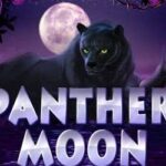 สล็อต easy Panther Moon: 5 เทคนิคโกยเงินแจ็คพอตสุดปัง 3 Panther Moon 1 web 1 teenoi 69 .com เว็บตรง สล็อต PG อันดับ 1 ฝากถอนออโต้ มั่นคง ปลอดภัย